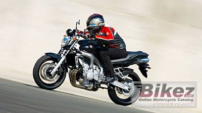 2008 Yamaha FZ6 ABS photo